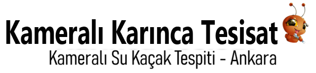 Site Logosudur.